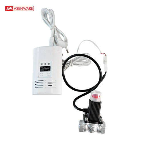 Standalone Gas Detector With Magnetic Valve